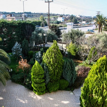 Front yard