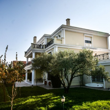 Side View